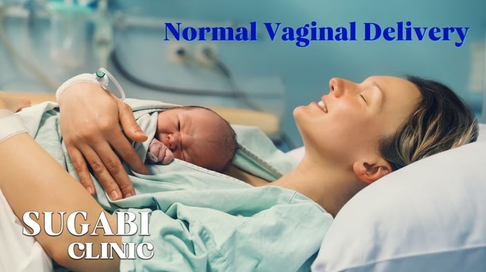 Preparing for a Normal Vaginal Delivery
