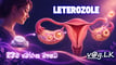 letrozole-ovulation-induction-sinhala