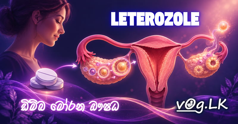 ඩිම්බ මෝචනය උත්තේජනය කිරීම — Letrozole මුලින්ම දෙන්නෙ ඇයි?