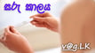දරු පිළිසිඳ ගැනීමට සුදුසුම සරු කාලය