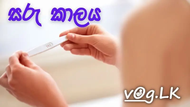 දරු පිළිසිඳ ගැනීමට සුදුසුම සරු කාලය