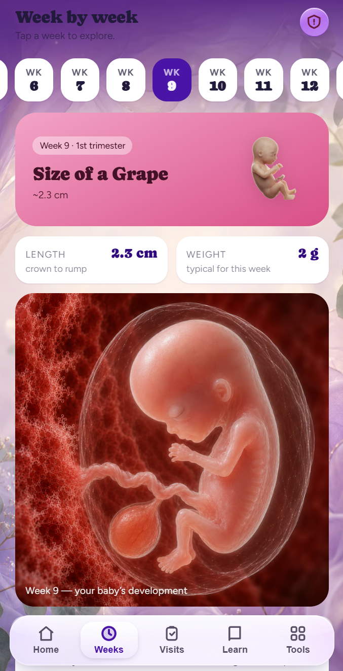 Sugabi week-by-week pregnancy screen — baby size at week 9