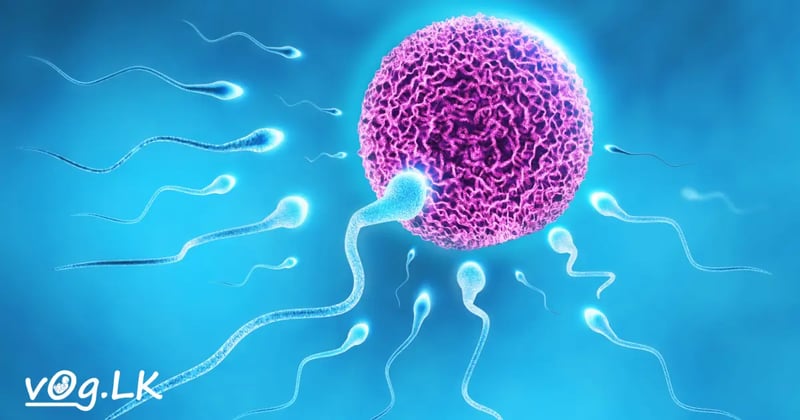 දරුඵල ප්‍රමාද වීමට හේතු සහ ප්‍රතිකාර