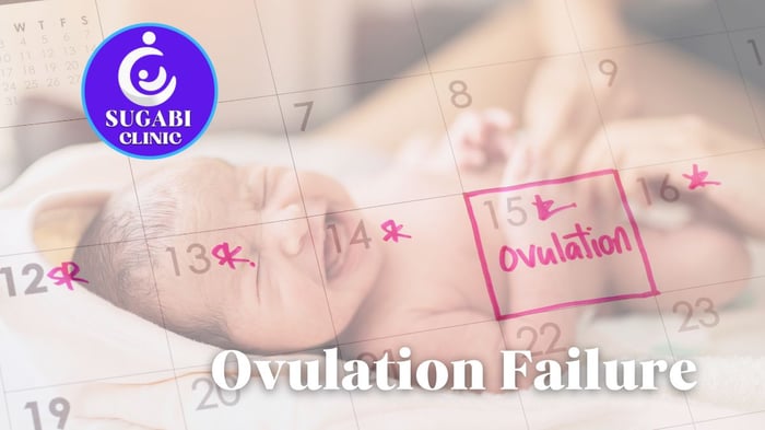 Anovulation: A Common and Treatable Cause of Difficulty Conceiving
