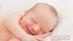 Early-pregnancy-vog
