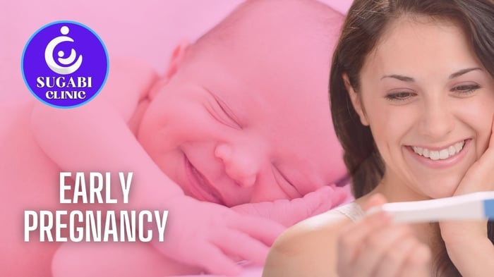 Confirming Pregnancy: Tests, Scans and What Comes Next