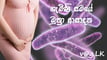 uti-in-pregnancy-sinhala