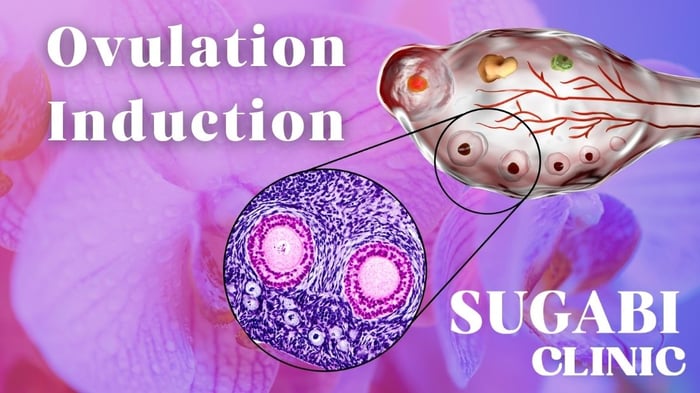 Ovulation Induction: How It Works and What to Expect