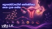 progesterone-in-pregnancy-sinhala
