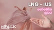 hormonal-coil-lng-ius-sinhala