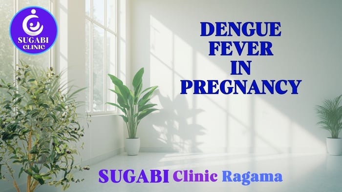 Dengue in Pregnancy: What to Do If You Get a Fever