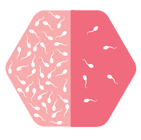 sperm count