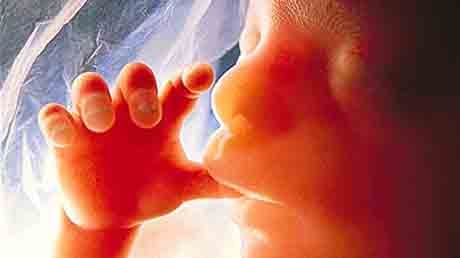ගබ්සාව (Miscarriage)