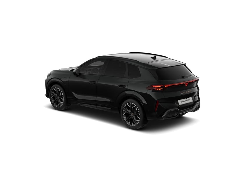 52269187-11.jpg
