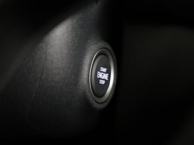 52823595-27.jpg