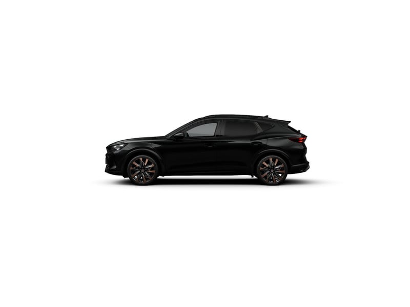 53156391-3.jpg