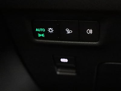53233382-43.jpg