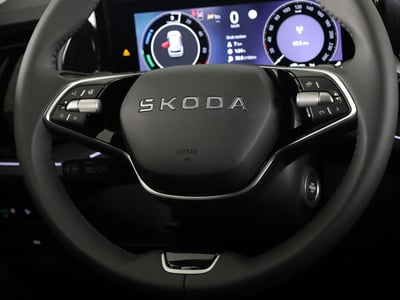 53233930-12.jpg