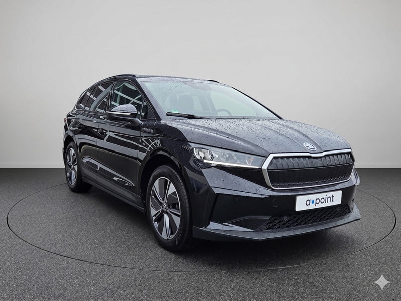 53304722-7.jpg