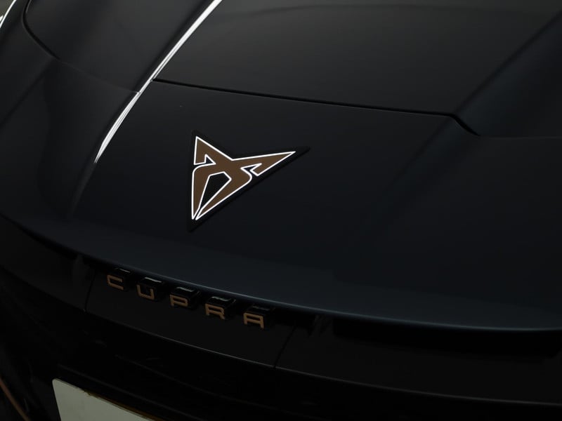 53470181-17.jpg