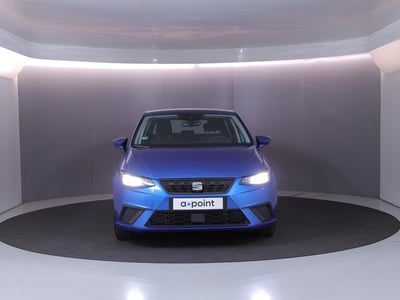 54275982-24.jpg