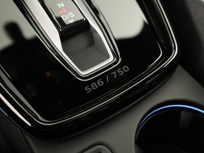55124103-38.jpg