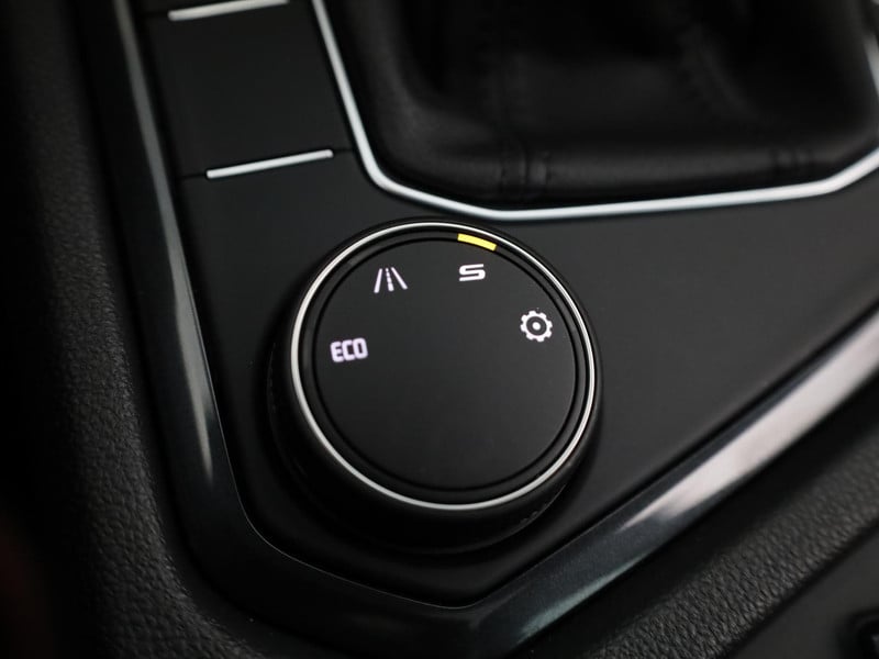 55506027-35.jpg