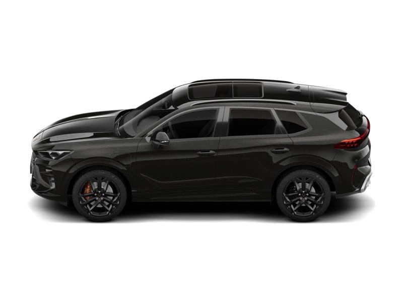55957284-5.jpg