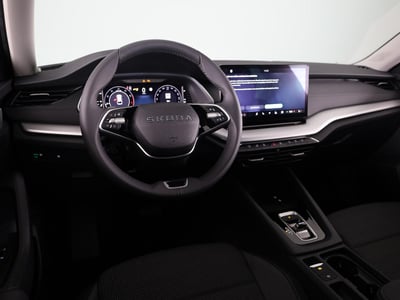 55972009-5.jpg