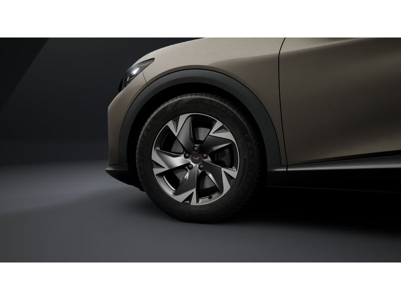 56051509-5.jpg