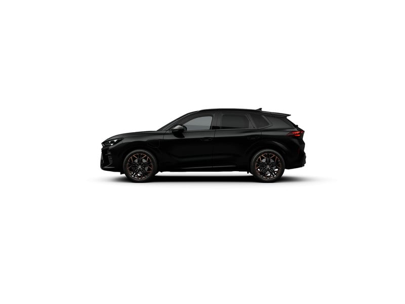 56718043-3.jpg