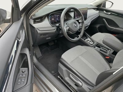 57579499-3.jpg