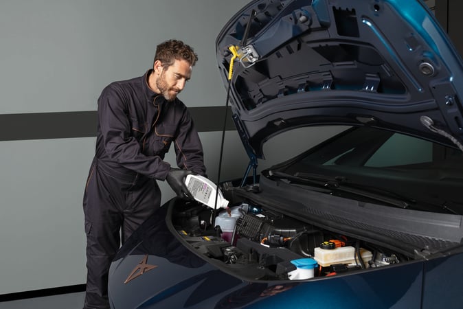 Onderhoud & Service