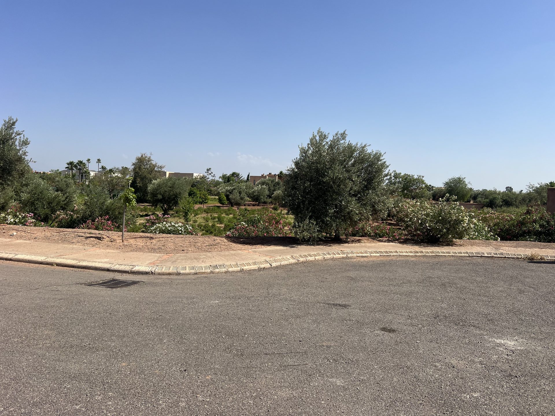 Terrain 1270 m² à vendre, Golf Amelkis 2, Marrakech — miniature 5