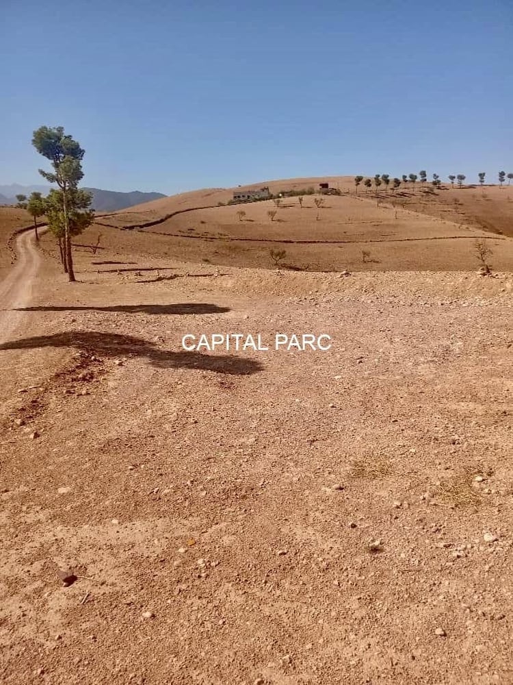 Terrain 4,3 ha à vendre à Tahanaoute avec vue Atlas — photo 4