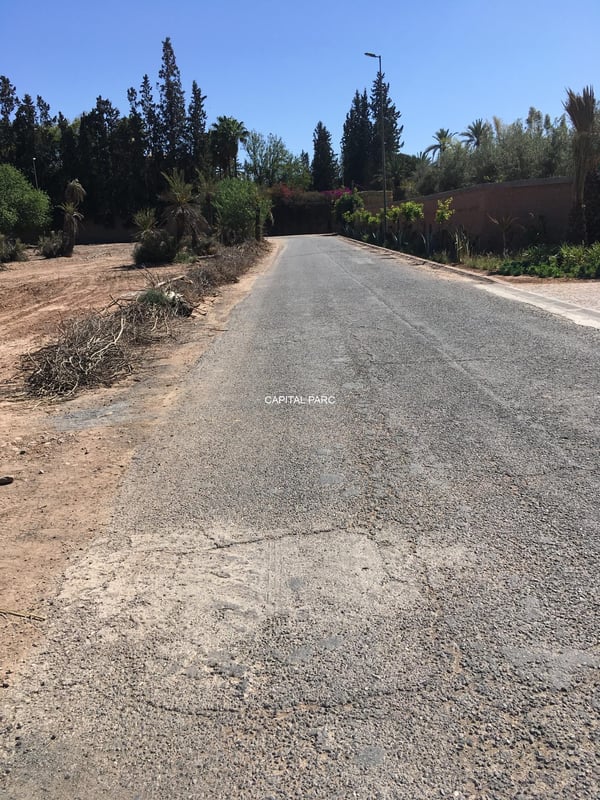 أرض زوينة (النخيل) — Terrain zone villa, Marrakech
