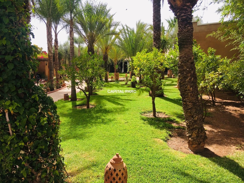 Maison d'hôtes 14 ch. en gérance, Ourika Marrakech — photo 5