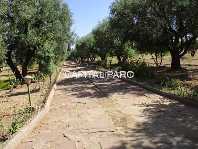 Villa de 700 m² sur 4,8 ha à vendre, Marrakech Annakhil — photo 2