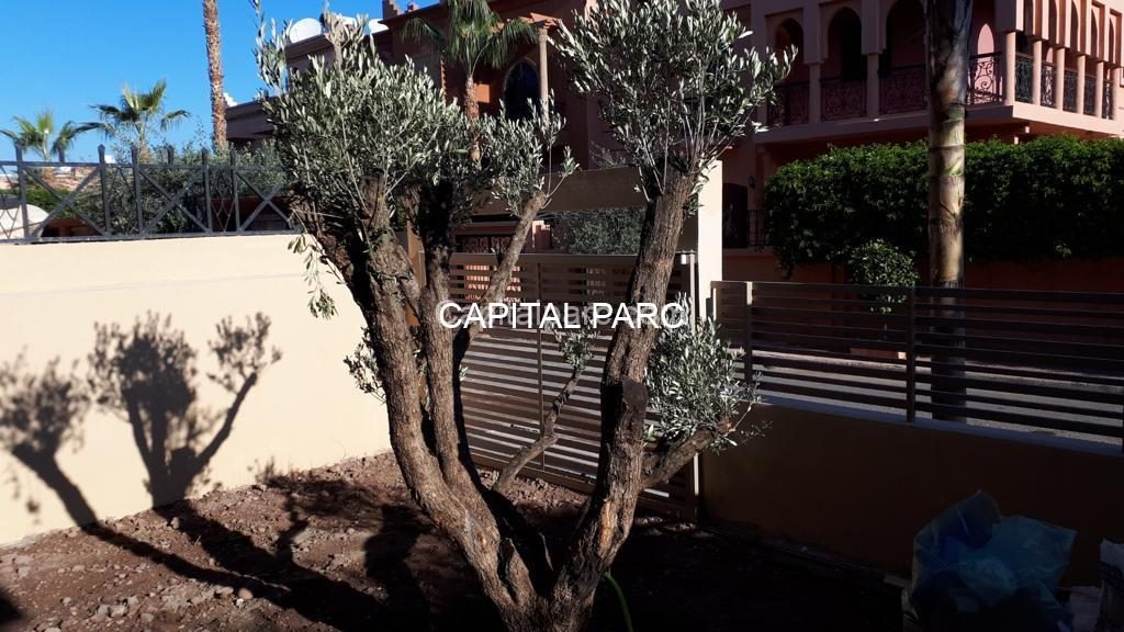 Villa moderne 250 m² à vendre Guéliz, Marrakech — miniature 8