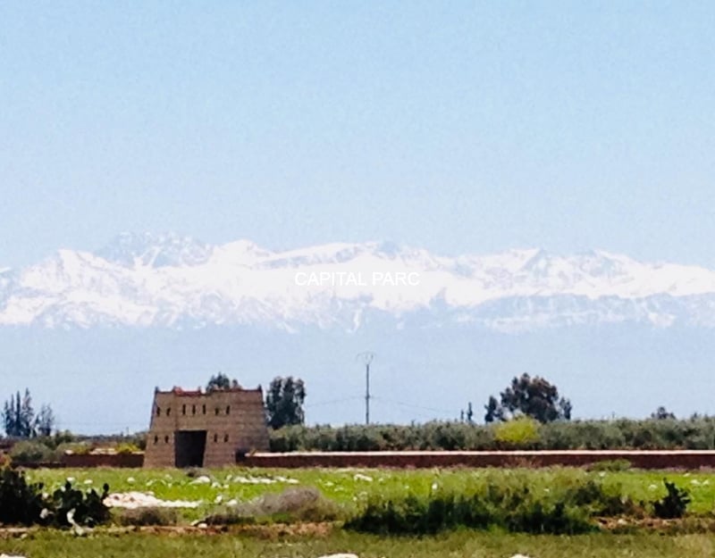 ضايعة للبيع — Terrain agricole, Marrakech