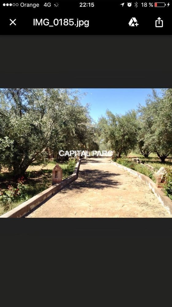 Ferme agricole 3,54 ha à vendre Route de Fès, Marrakech — photo 5