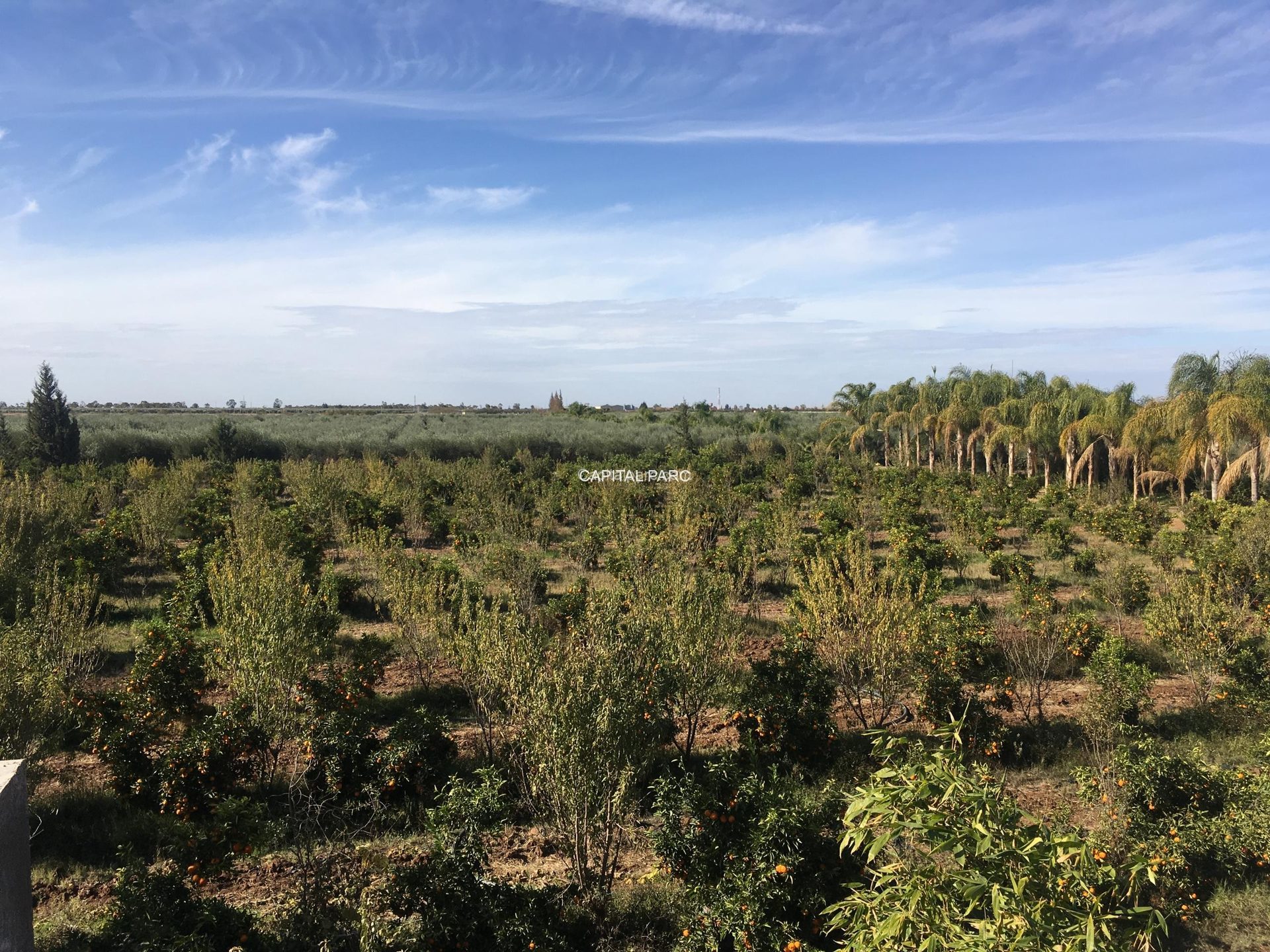 Ferme agricole 38 ha, 2000 m² hab. à vendre Marrakech Annakhil — miniature 3