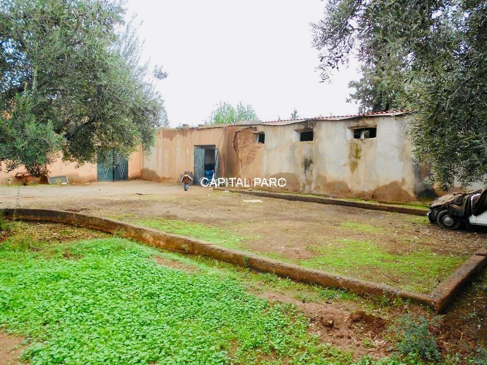 Ferme agricole 8 ha à vendre, Sidi Abdellah Ghiat, Marrakech — photo 5