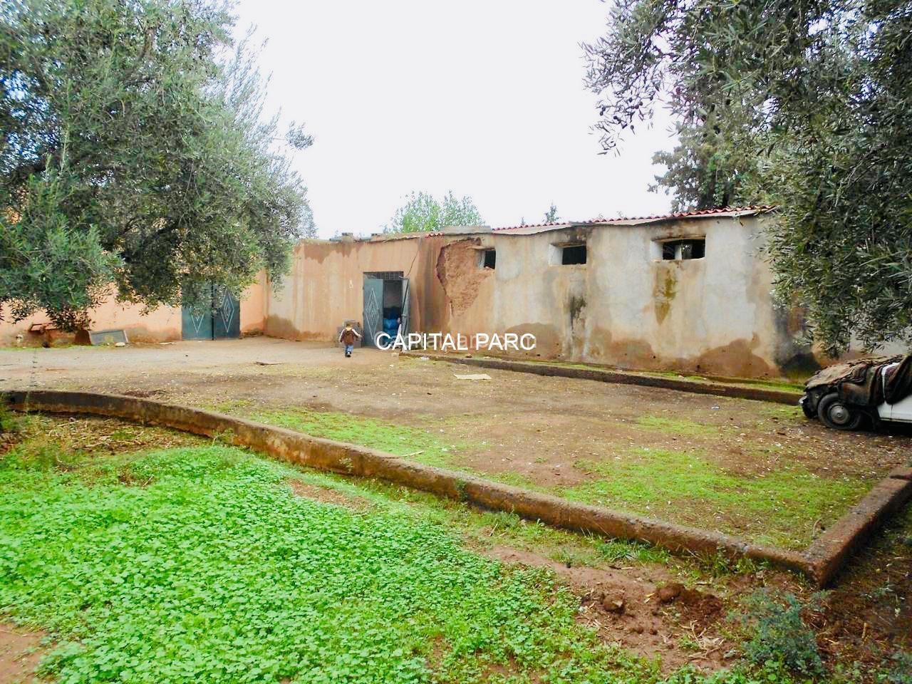 Ferme agricole 8 ha à vendre, Sidi Abdellah Ghiat, Marrakech — miniature 5