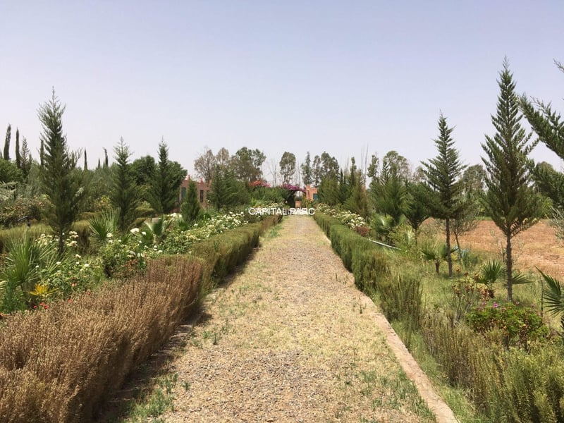 Ferme 2, 5 ha constructible à vendre, Route Ourika, Marrakech — Ferme, Ourika