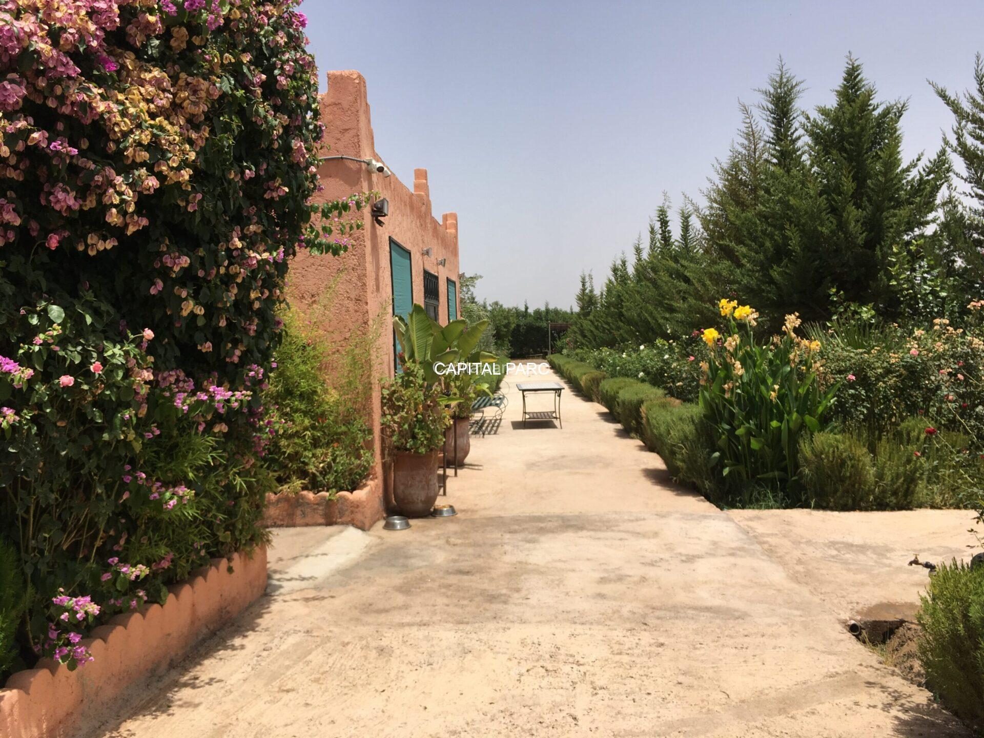 Ferme 2,5 ha constructible à vendre, Route Ourika, Marrakech — miniature 2