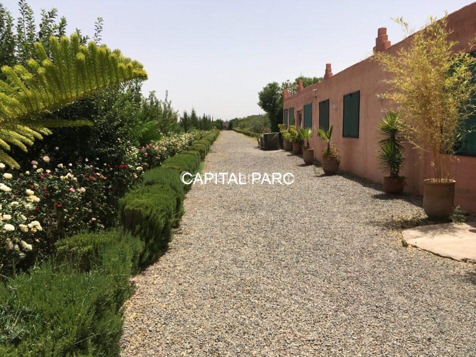 Ferme 2,5 ha constructible à vendre, Route Ourika, Marrakech — photo 3