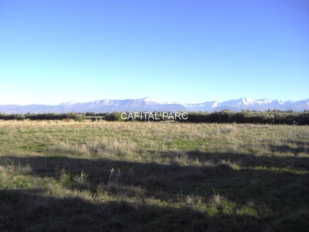 Ferme 31,63 ha à vendre Tasoultante, Route Ourika — miniature 3