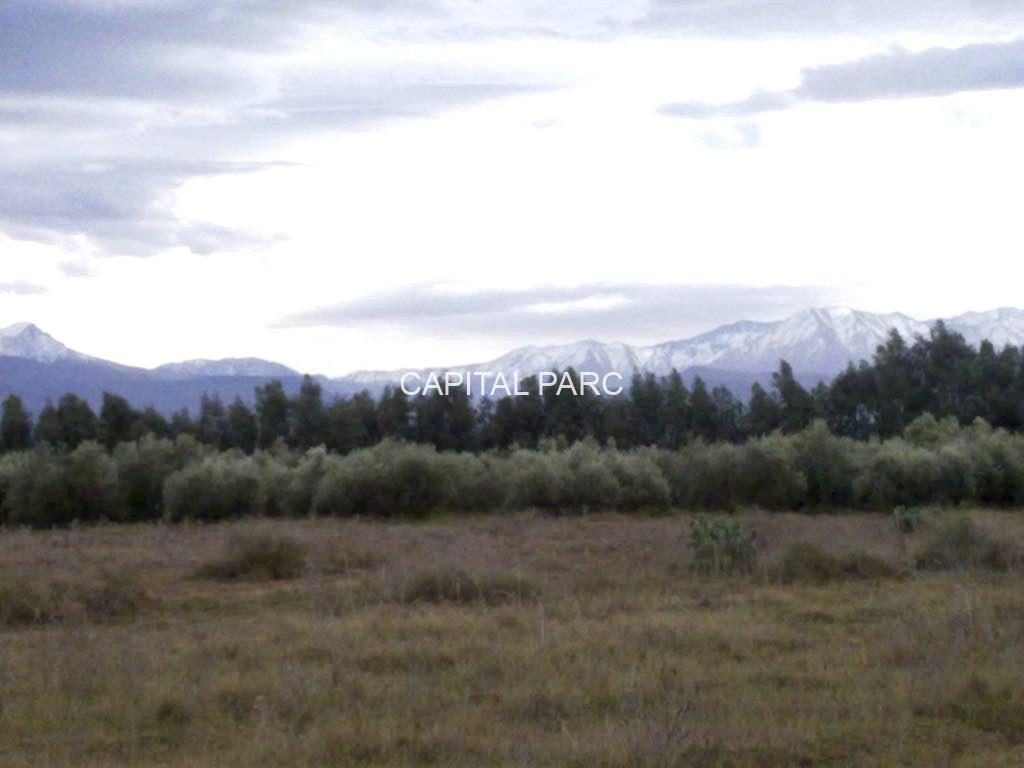 Ferme 31,63 ha à vendre Tasoultante, Route Ourika — miniature 6