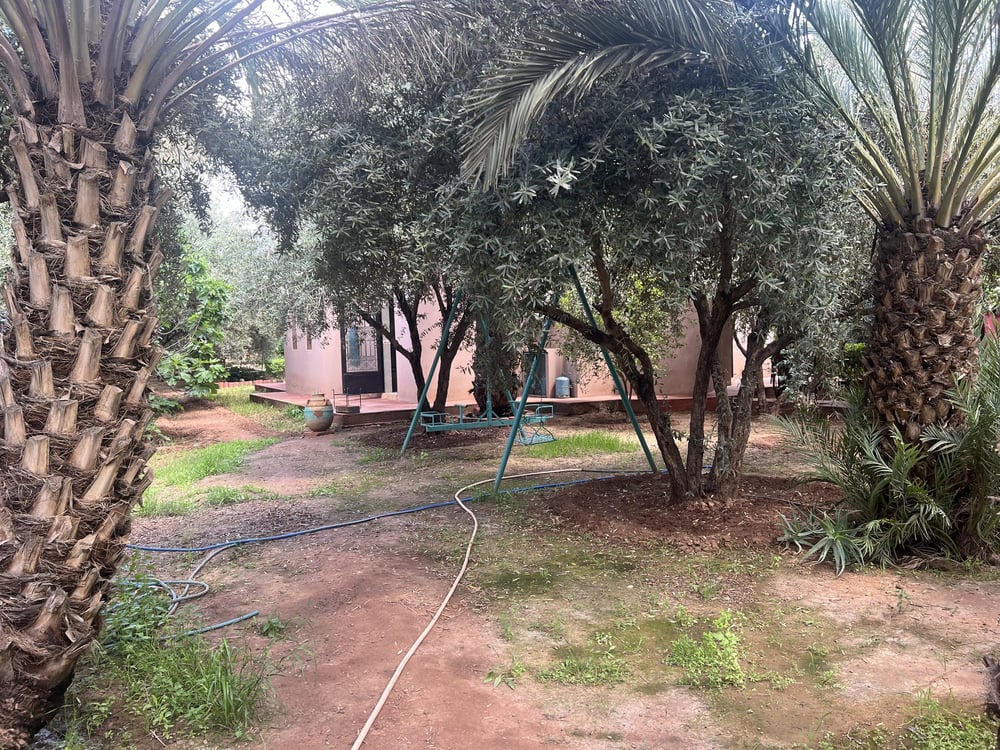 Maison 3 ch. 250 m² à louer, Route de Fès, Marrakech — photo 3
